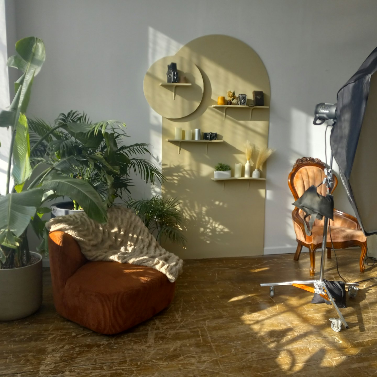 Photography studio with armchair, plants, and vintage cameras.