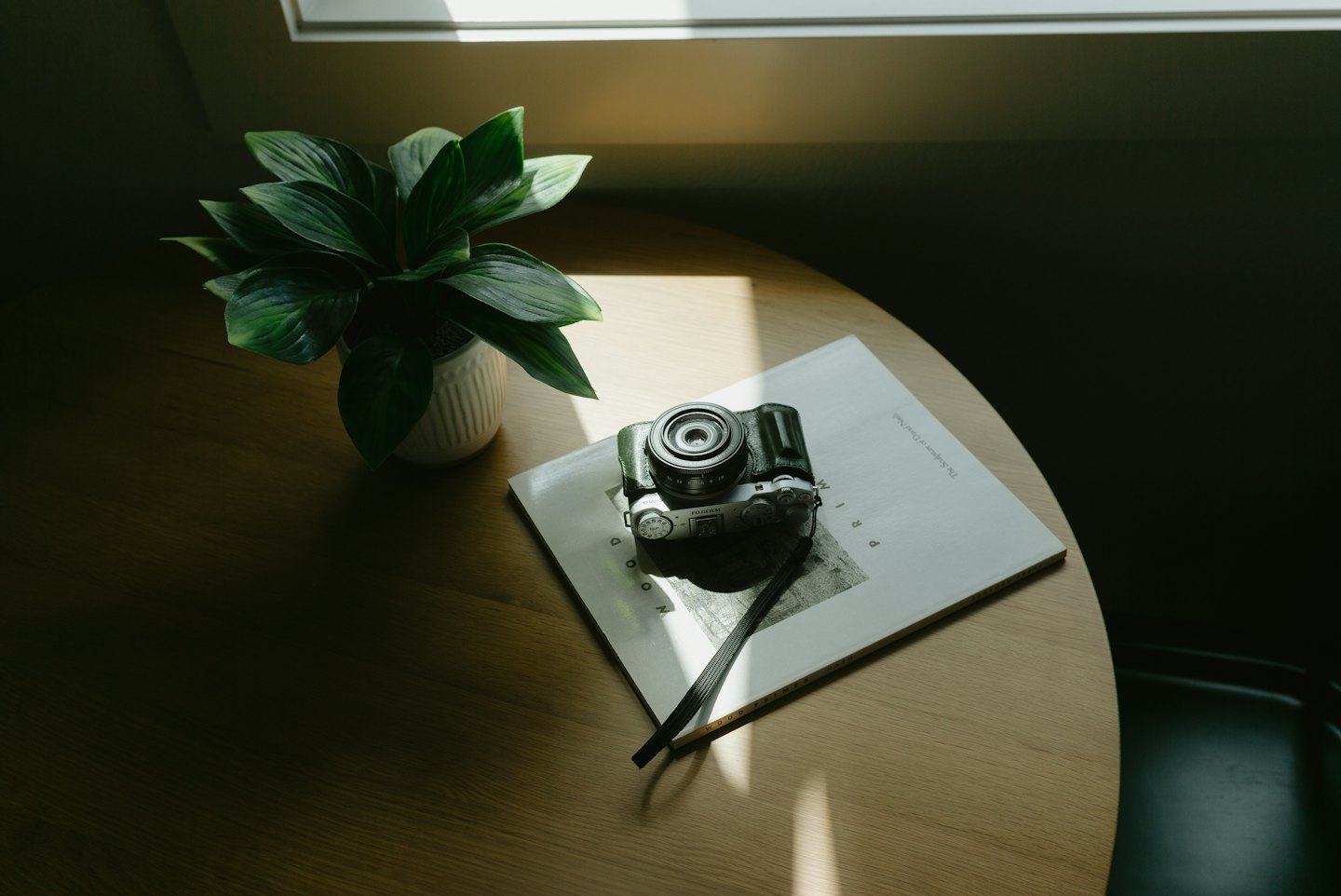Silver camera on a white book next to a plant on a wooden table.